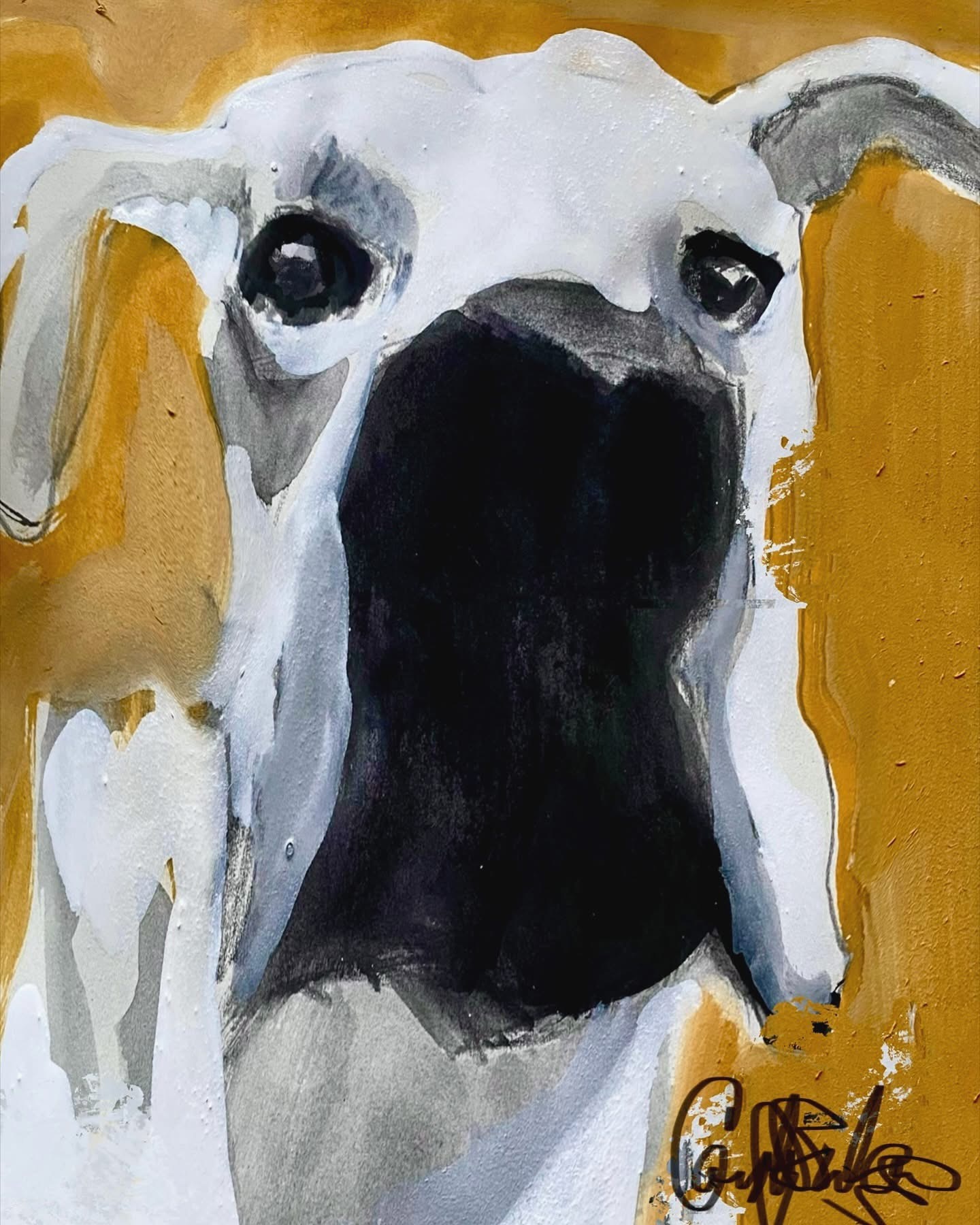 Canine View