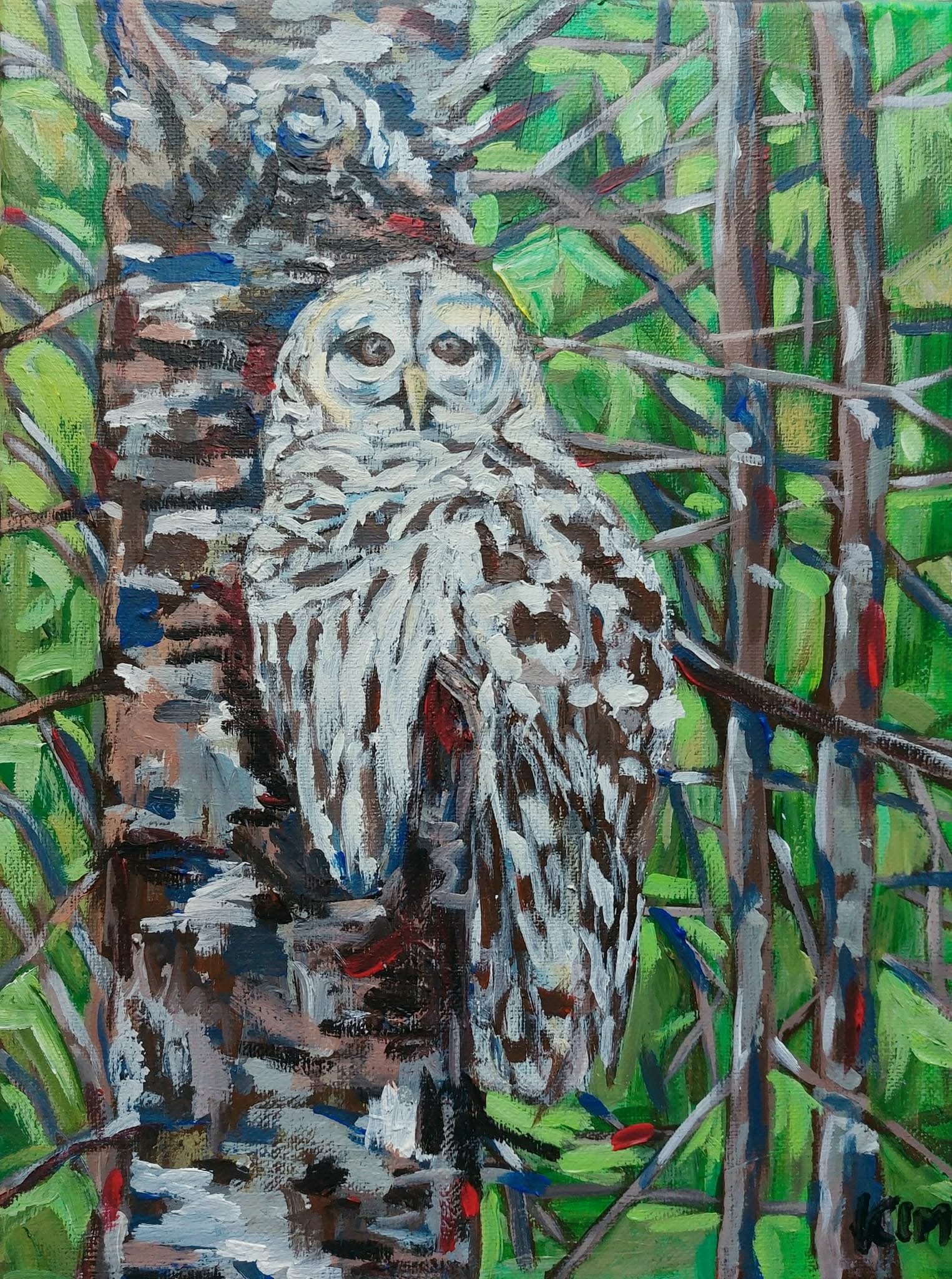 Owl